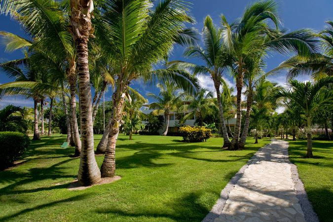 Catalonia Bavaro Beach 